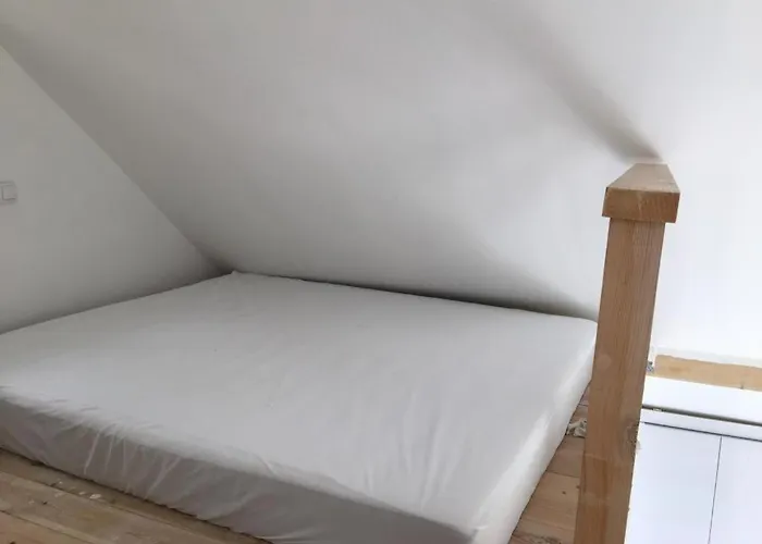 Terasa Daire Beljevina